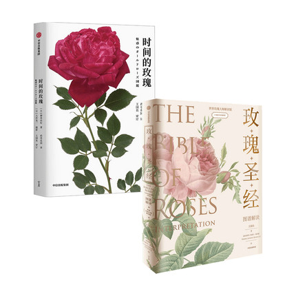 时间的玫瑰+玫瑰圣经图谱解读