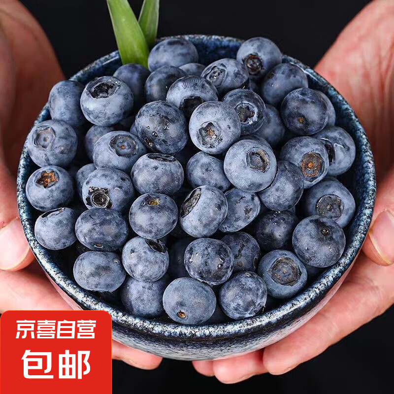 高山花香蓝莓当季新鲜时令水果新鲜采摘单盒净重120g 【15-18mm】4盒装