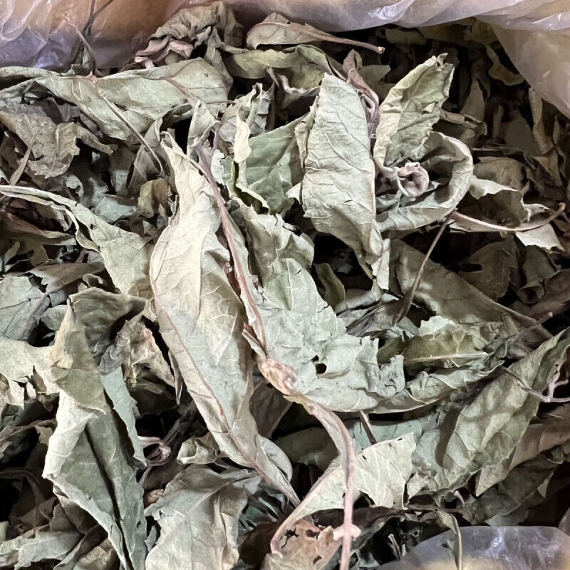 慈药山南非叶广西南非特级叶将军叶正宗叶五指新鲜晒干清热 精选南非叶 100克体验装