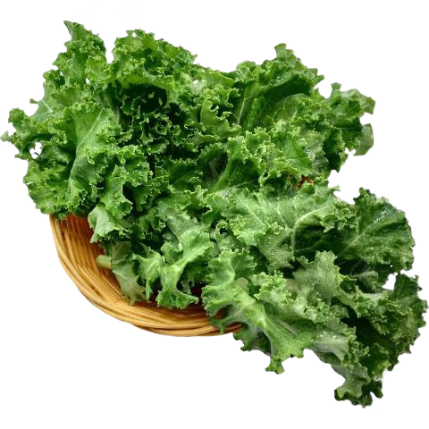京地達(dá)山東新鮮羽衣甘藍(lán) 凈重2斤 沙拉食材 源頭直發(fā)包郵