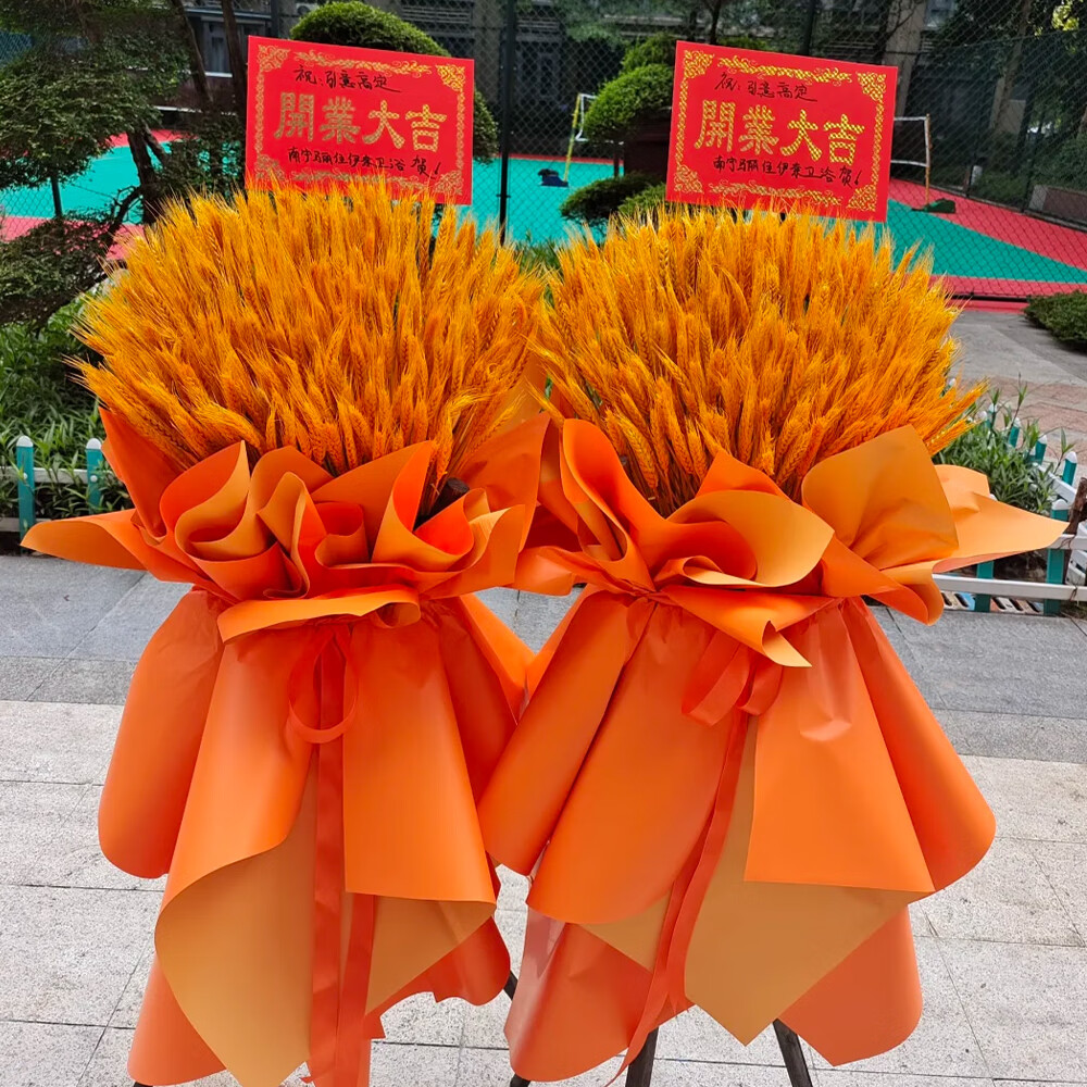 綠韻花田【兩小時達】大麥大賣開業(yè)花籃麥穗同城配送開張鮮花速遞上海 紅紅火火（1個）