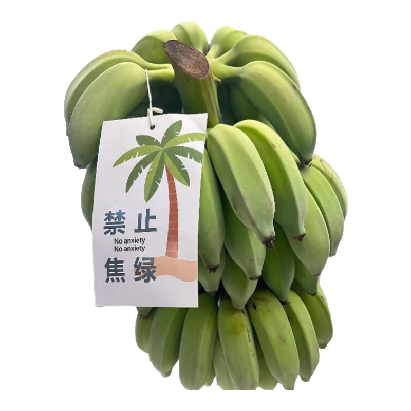 ����ү��ֹ����һ����ˮ���㽶�ܾ����ǰ칫�ҰŽ����澲ֹ����ƻ���㽶 3�� ���ͽ��̿�Ƭ�� 16.79Ԫ