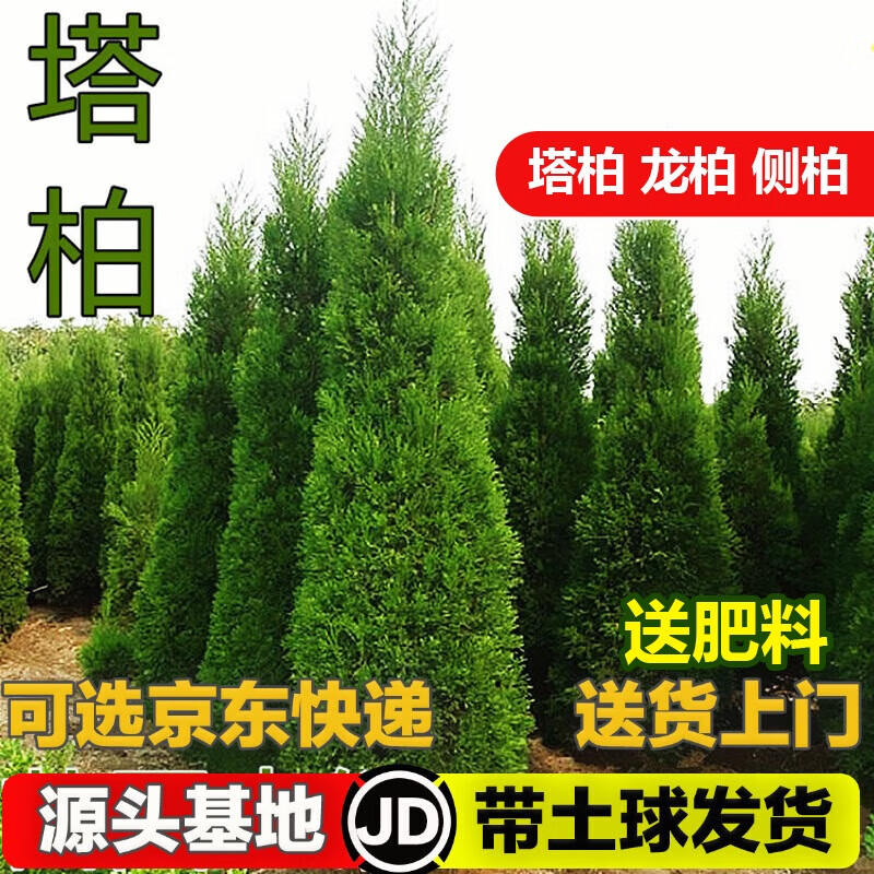 ���ڲ�����������������������ɰ�����ɨĹĹ��������������ļ����๤���̻���ľ 1.4-1.6�׸� 62.01Ԫ��3��(��20.67Ԫ/��)