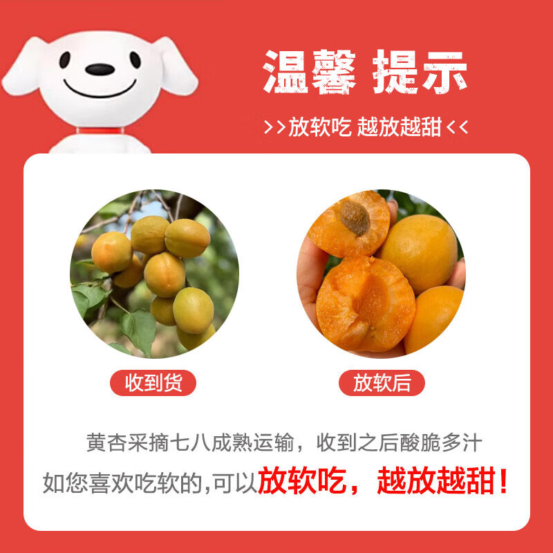 京世泽 陕西金太阳大黄杏 酸甜大杏子 时令水果 超值体验 净重3斤