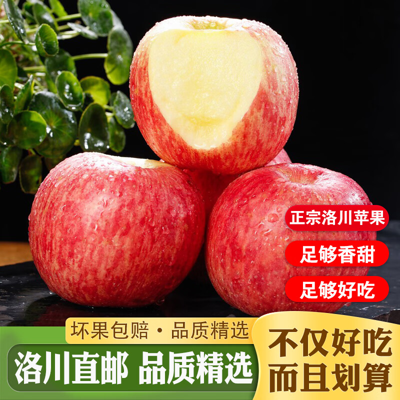 冉沃优选陕西洛川红富士苹果当季新鲜水果脆爽多汁果肉细腻源头直发整箱 净4.5斤品质大果  80-85mm果径