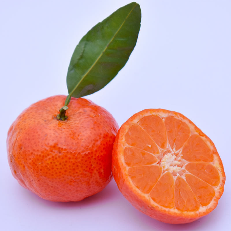 静益乐源沙糖橘 广西砂糖桔 桔子 新鲜水果 2.5kg装