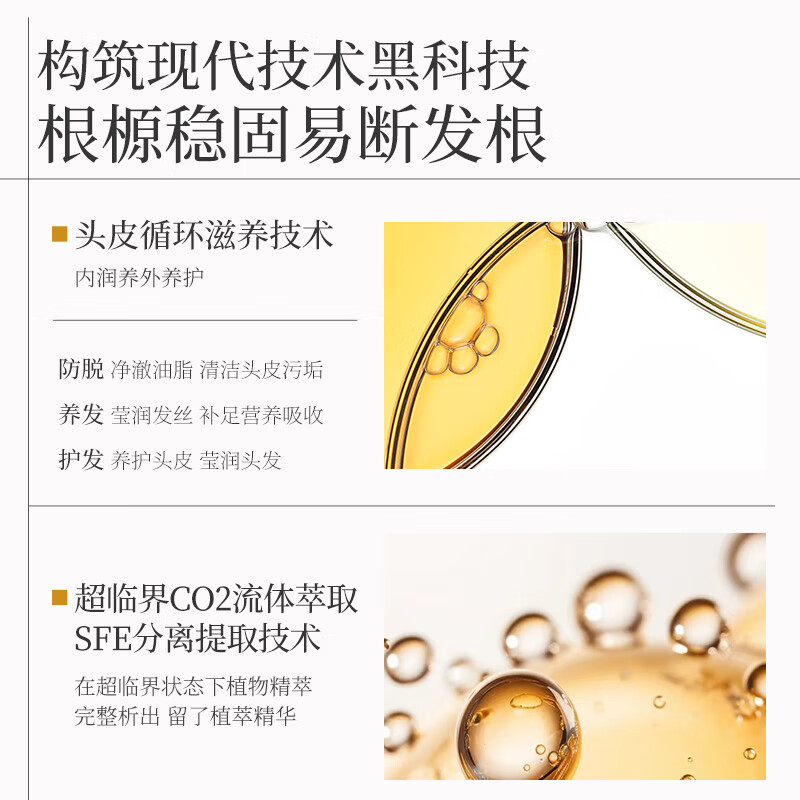 紫郁洗发水去屑止痒控油持久蓬松毛囊清洁滋润头皮防断发掉发洗头膏露 臻效控油蓬松净澈去屑洗发水500g*2