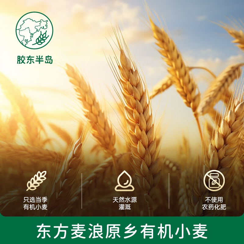 碧欧奇有机婴幼儿加钙碎碎面175g 宝宝婴儿面条6-12个月碎碎面钙铁锌