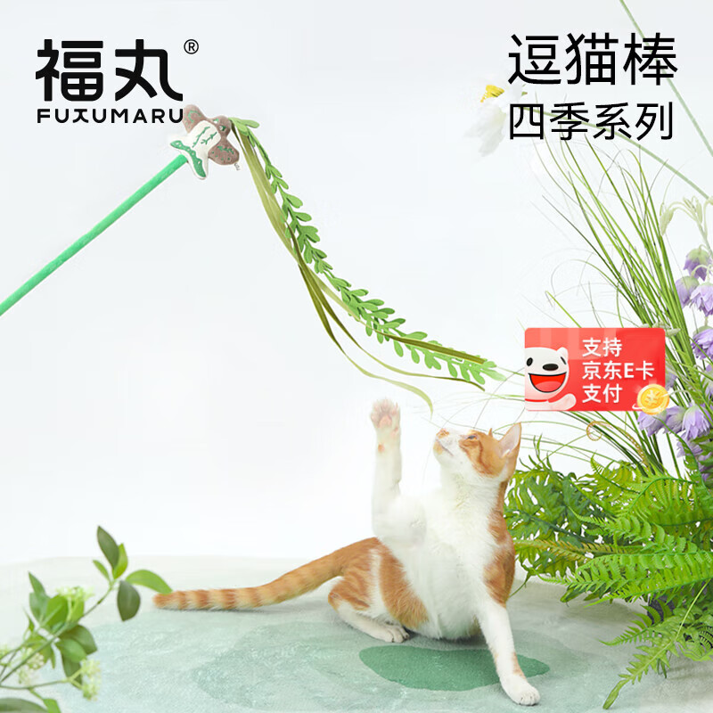 ���趺è����������è����������èè��߳�����ҧ��ץè����Ʒ �ļ��è�� һ֦���� ������