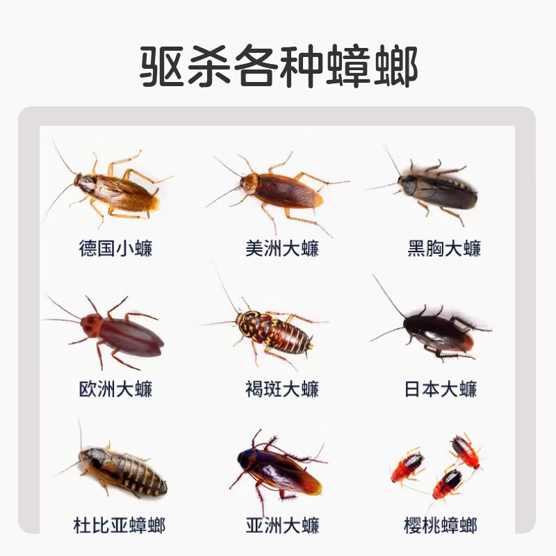 彩虹杀蟑胶饵蟑螂药蟑螂小强盒除蟑螂贴蟑螂屋连环杀蟑剂(包装随机) 杀蟑饵剂8个装