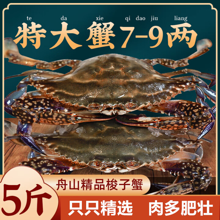 鮮活速凍梭子蟹野生舟山大螃蟹新鮮冷凍海蟹紅膏白飛蟹海鮮水產(chǎn) 7-9兩/只【精品舟山梭子蟹5斤】