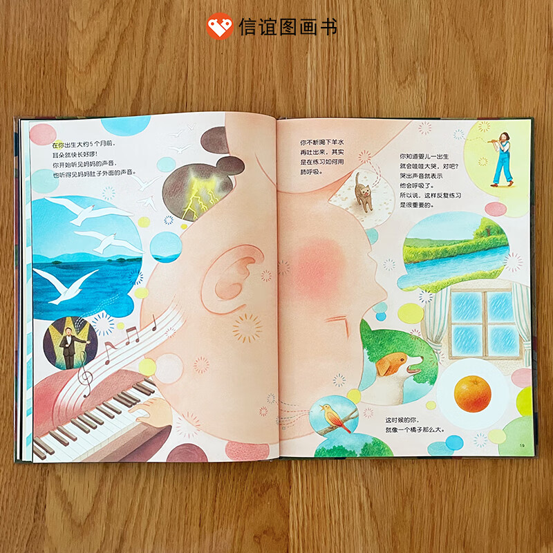 【信谊图书旗舰店】你在妈妈肚子里的时候硬壳精装3-5-6周岁幼儿儿童绘本睡前读物课外阅读童话故事儿童书籍