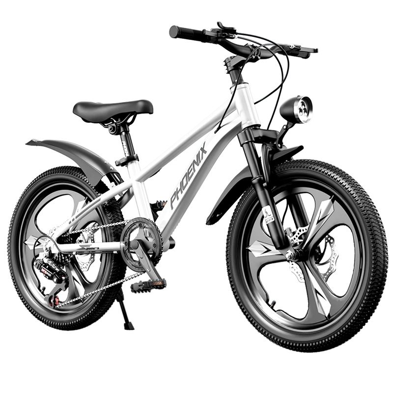 ���ڲ�������ˣ�Phoenix�����Ͻ��ͯɽ�����г�6-8-12�곬���ѧ������������Ů22������ 617.8Ԫ