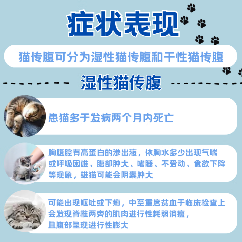 44I1猫腹传干性反复发烧黄疸湿性有腹水食欲差片剂猫腹传 加强版油剂6ml20浓度9瓶