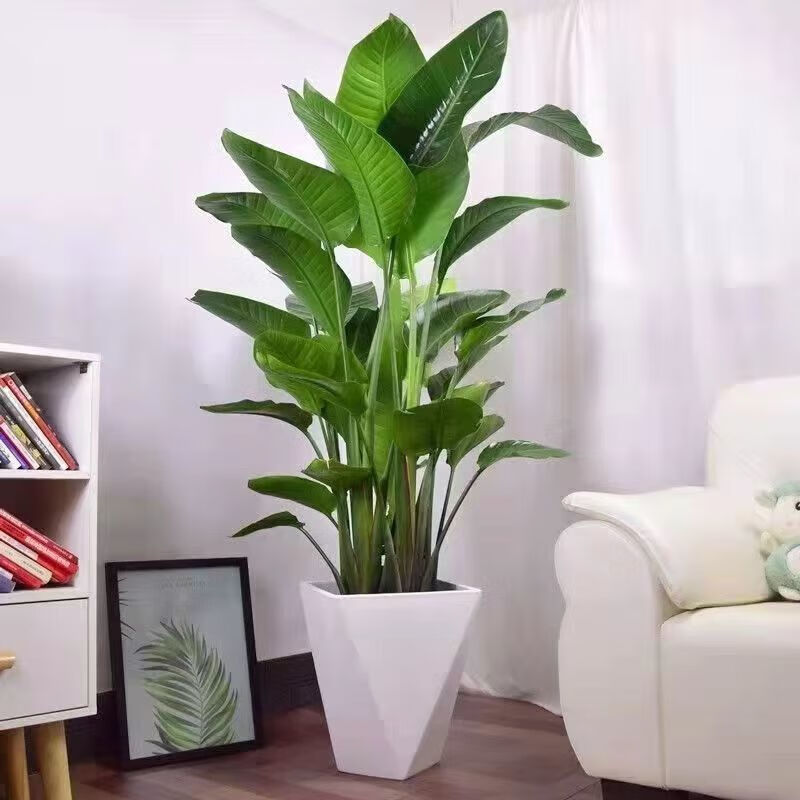 ������ֲ��������������ļ�������ֲ���������ļ������û�ܳ� ������ һ�����ź���������