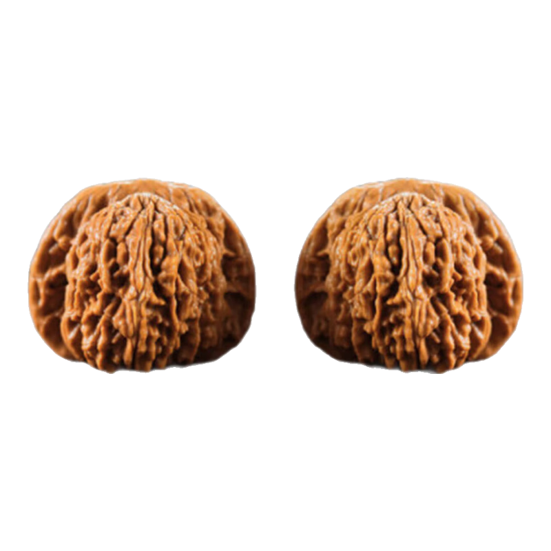 ���ڲ�������ԵС����Ȼ����������ǰ�ʨ��ͷ�ղؼ��Ƽ�����ƻ��԰����¥��Ʒ�ְѼ� ���ղؼ�������¥ʨ��ͷ42mm 136Ԫ