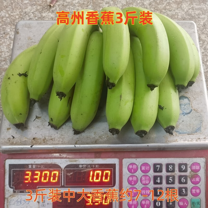 广东高州新鲜香蕉3-9斤自然熟水果原生态小香蕉生蕉发货自行催熟 3斤中大香蕉约7-13根