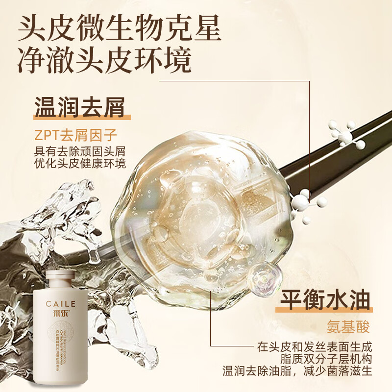 采乐控油洗发水清爽蓬松去屑洗发露丰盈蓬松白松露洗发乳高颅顶 【控油蓬松】白松露洗发水 500ml*1瓶