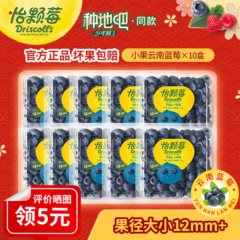 ����ݮ���̳�Ʒ�ʡ�����������ݮ ���� ������ݮ ����ˮ�� ���� ��ݮС��125g*10�У�12mm+��