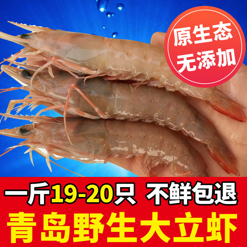 野生大立虾 青岛新鲜鹰爪虾野生鲜活红虾 海虾青岛大虾蛎虾 500g 1克
