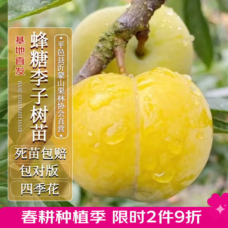 ������ 40000KM �������������������������޽��������ľ��1-2cmԴͷֱ������