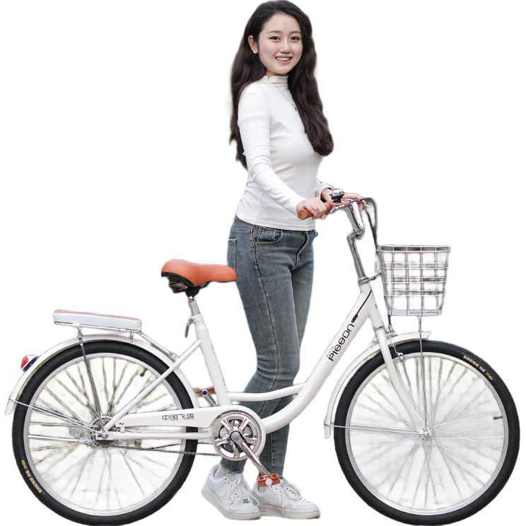 �ɸ�������г�26Ӣ�絥����Ůʽ����ѧ��������ͨ����˴�������ɫ 499Ԫ