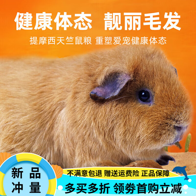 牧草物語提摩西天竺鼠糧2.5kg荷蘭豬主糧豚鼠糧荷蘭豬糧食豬飼料