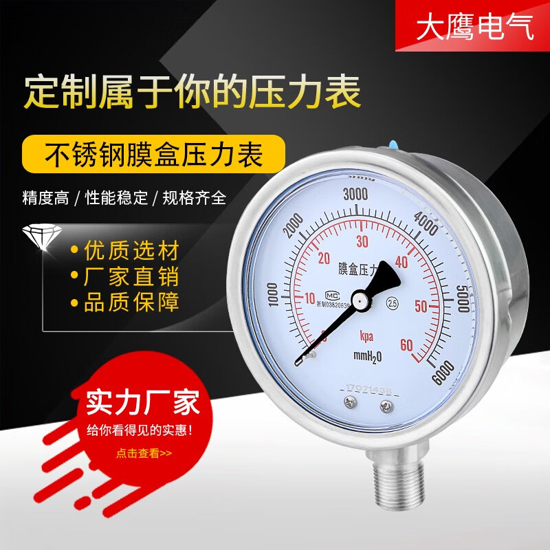 匡建儀表不銹鋼膜盒壓力表YE100BF 40KPa60耐硫壓力表 耐高溫耐腐蝕微壓表 0-1KPa