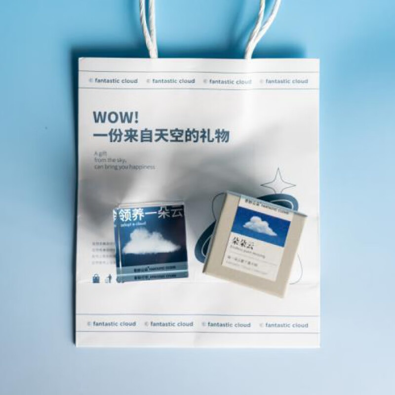 原创领养一朵云松弛感生日礼物送女友闺蜜小众38妇女节礼物 【新款】朵朵云立方_4cm