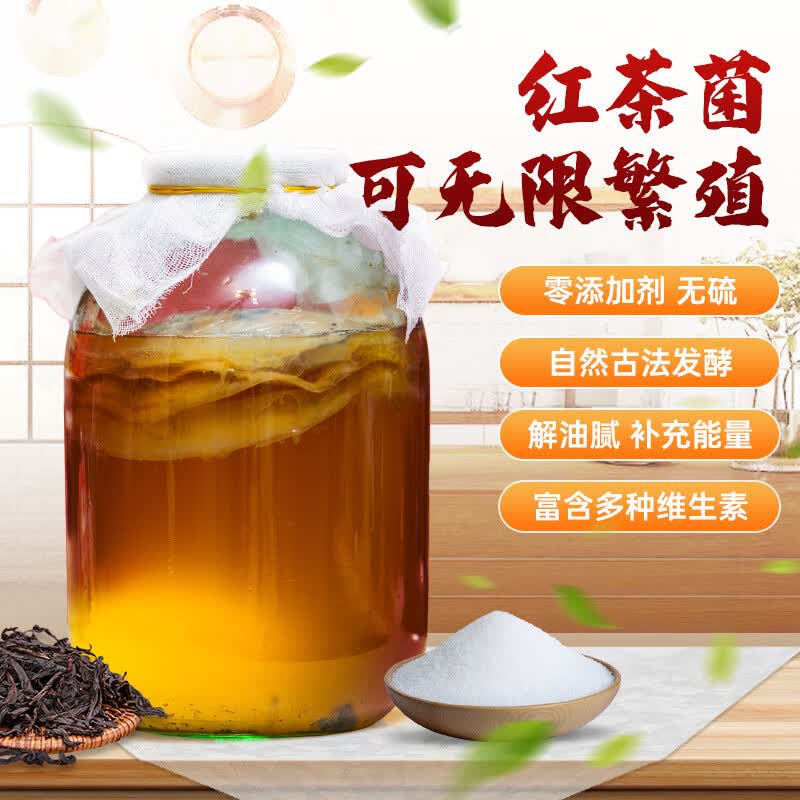 同仁堂（TRT） 正宗红茶菌菌种 胃宝海宝菌家用 自制康 2片菌配老液共300g 300g*1袋