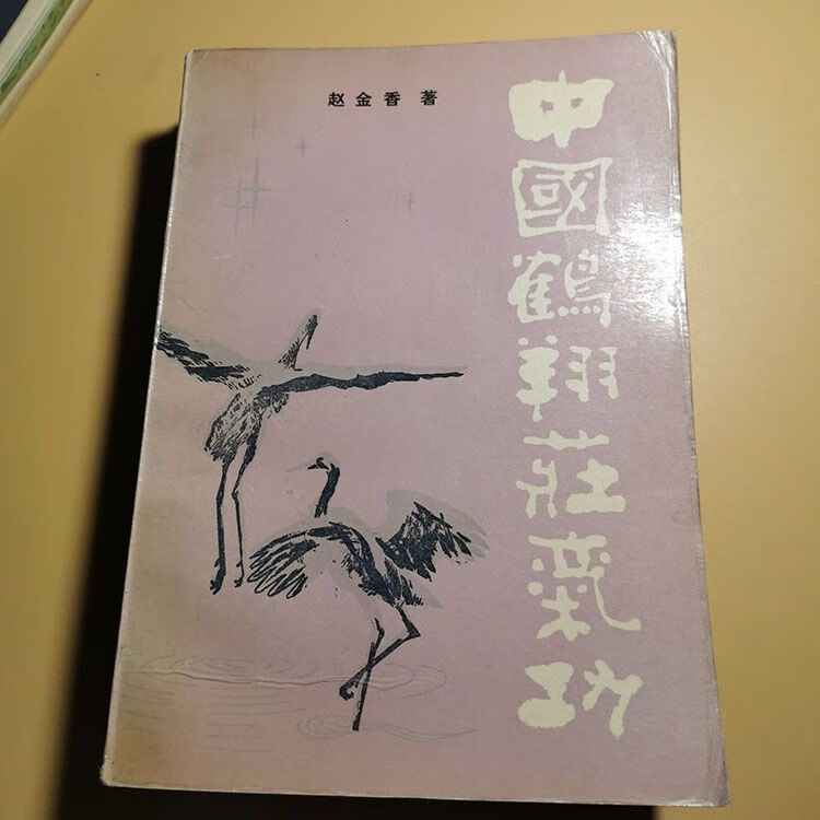 中国鹤翔庄气功 武术武功赵金香气功动功站桩功内功心法
