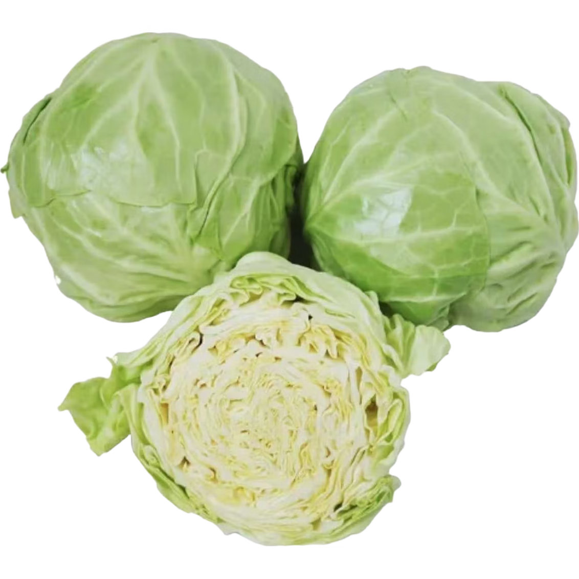 ���ڲ��������ش�ɽ���̸��� ���Ĳ� ����500g ����4.5�� Դͷֱ������ 15.7Ԫ