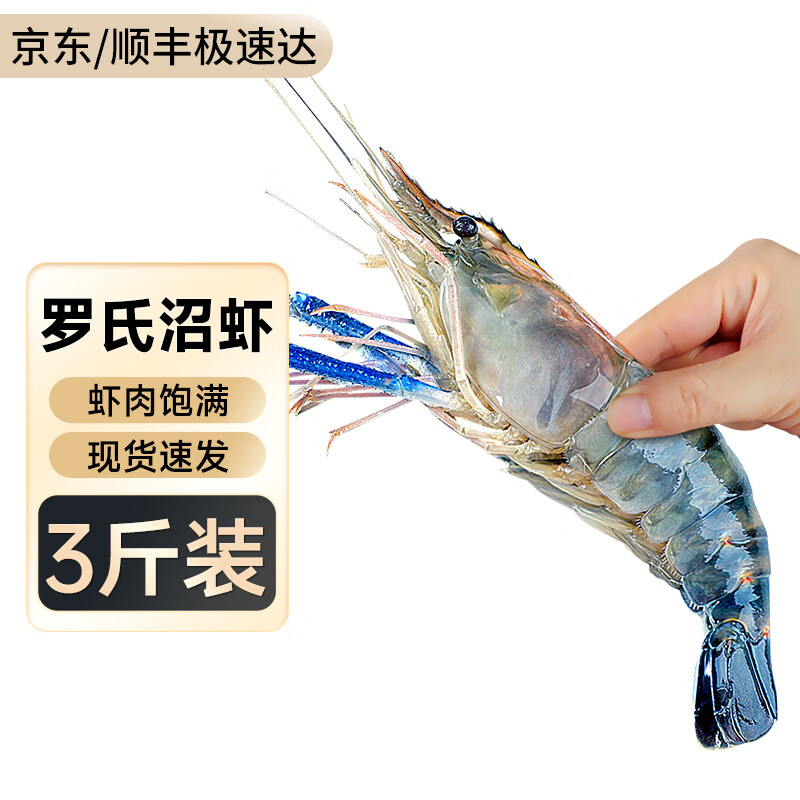 渔游记（YUYOUJI）罗氏虾沼虾3斤鲜活冷冻新鲜大头虾超大虾巨型淡水河虾水产虾类 特大号16-20只/斤共 1500g(净重) 