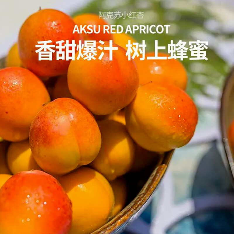 每天水果优选正宗新疆小红杏当季新鲜应季特产礼盒甜杏子整箱顺丰 3斤