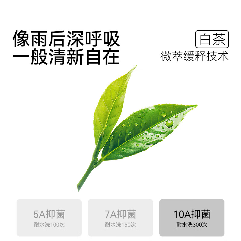 米乐鱼精油袜子女10A抑菌防臭夏季透气吸汗运动2025新款春秋爆款中筒袜 女士袜子-梦幻云端-5双 均码 22-24(参考鞋码35-39)