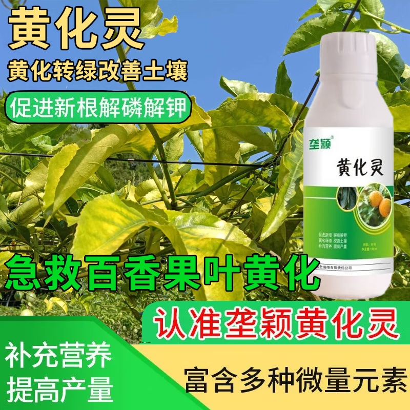垄颖百香果黄叶黄化病百香果叶片黄化皱缩枯萎花叶果树通用微生物菌剂