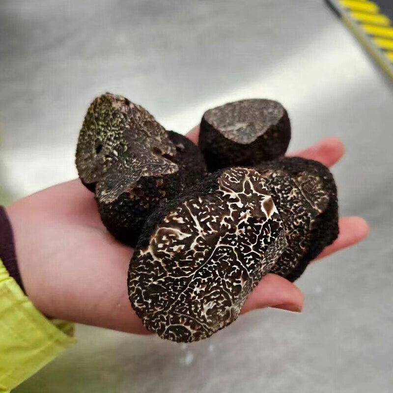 星云湖香格里拉野生黑松露猪拱菌礼盒装高黎贡山白松露米其林高端送礼 新鲜黑松露 直径4-6cm 净重500g