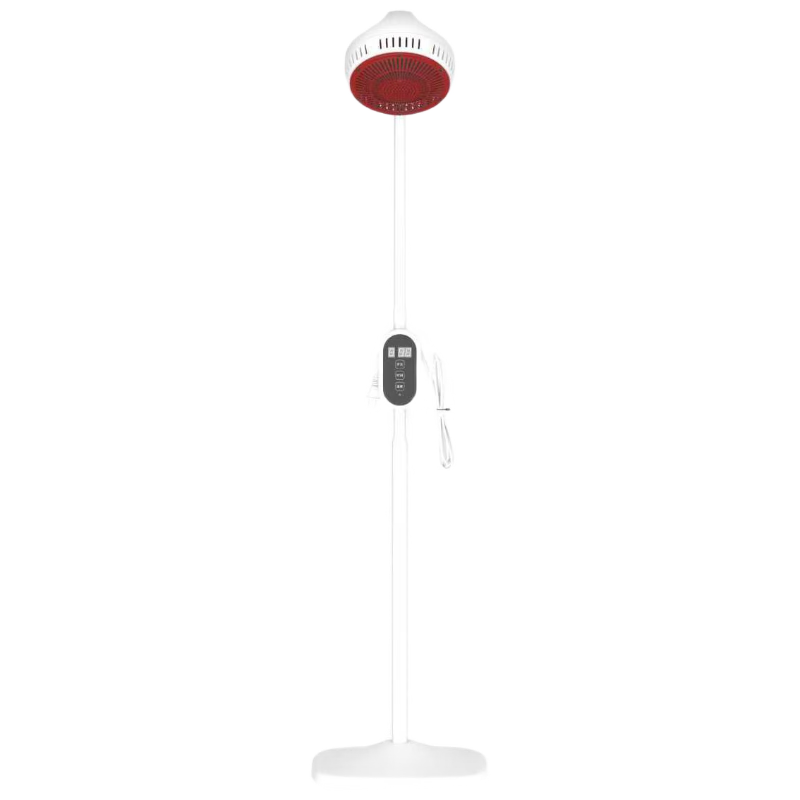 ���շƱ�������������Ƶ��ض���Ų�������ҽ�ü羱��׵������ 374Ԫ