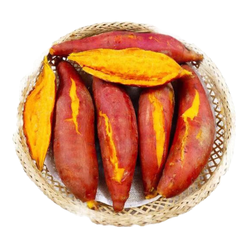 现挖西瓜红蜜薯沙地香甜软糯红心番薯山芋无丝农家自种糖心地瓜 优质西瓜红 2斤 带箱 中大果（单果150g-500g）