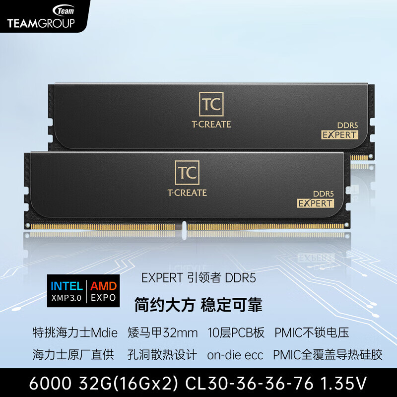 十銓科技十銓ddr5  十銓科技EXPERT引領(lǐng)者 DDR5內存條臺式機矮馬甲條7200 6400 6000 32G 48G 64G 96G 10層 6000 32G(2x16G) C30【特挑M】黑