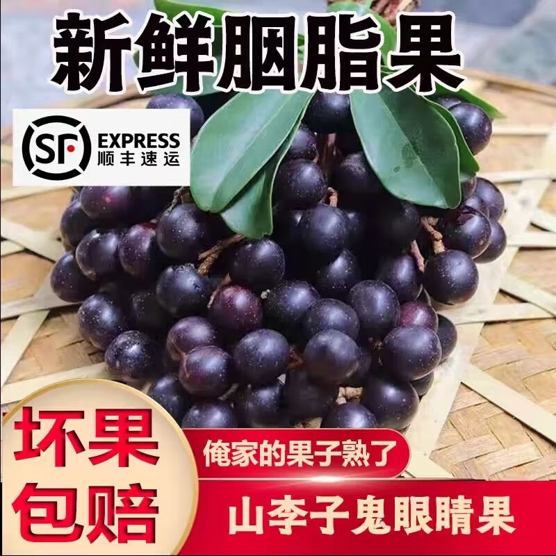 顺丰云南特产新鲜胭脂果胭脂红应当季水果现摘鬼眼睛浆果酸甜