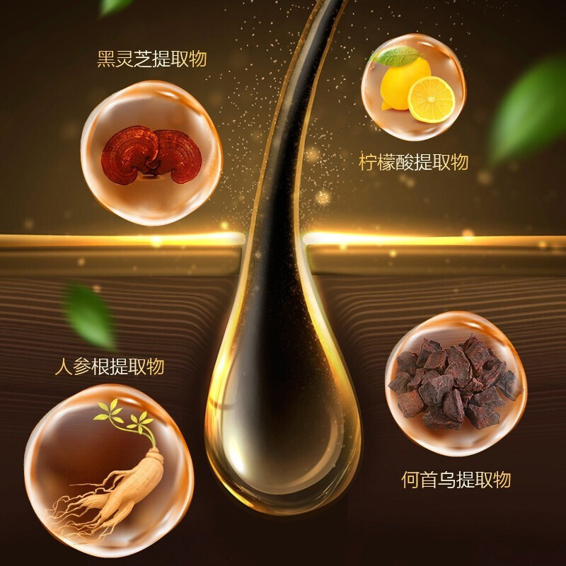 钻姿何首乌洗发水植物黑灵芝洗发液洗头膏头皮营养液 草本植物营养液一瓶80ml