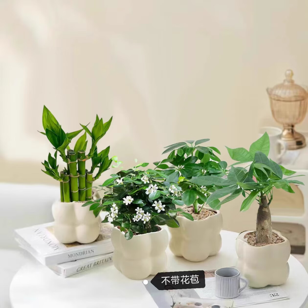 恰意【四件套组合】发财树金钻富贵竹九里香栀子花绿植盆栽桌面绿植 荷花竹+发财树+鸭脚木+九里香+塑料云朵盆