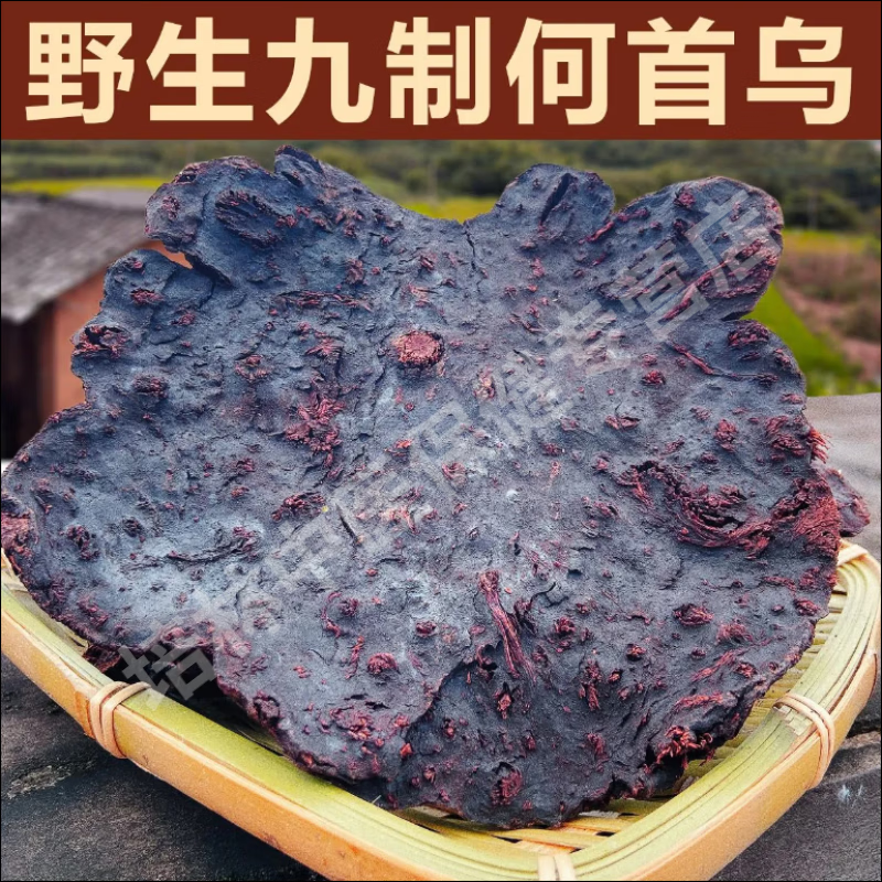 北京同仁堂雷公山血首烏貴州純野生制何首烏古法炮制雷公山血首烏大 160年生長(一斤2片)