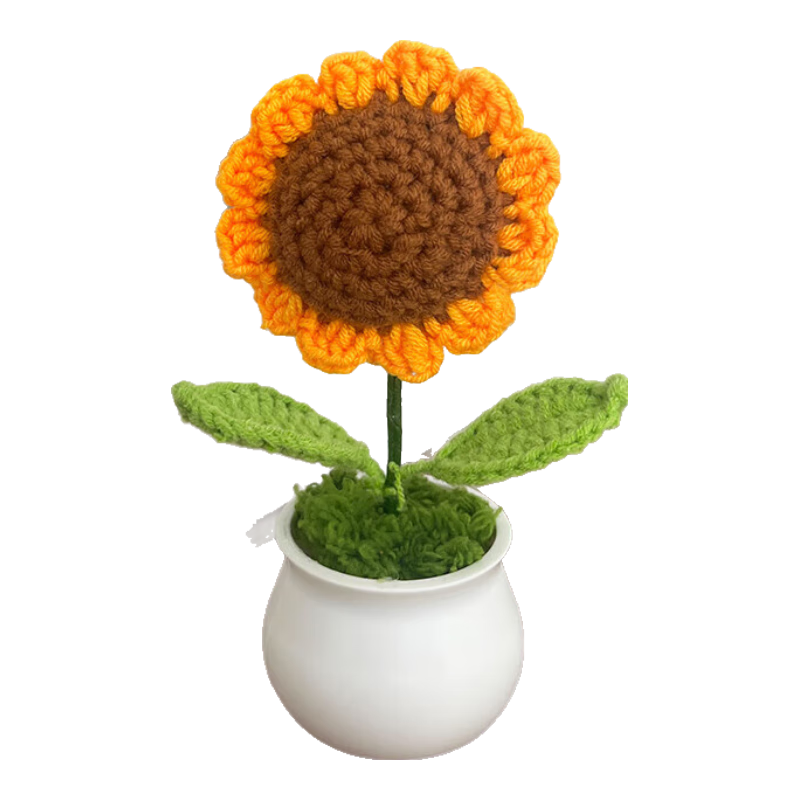 ڲϲտֹ֯滨ٻ칫װΰڼʥ 11Ԫ