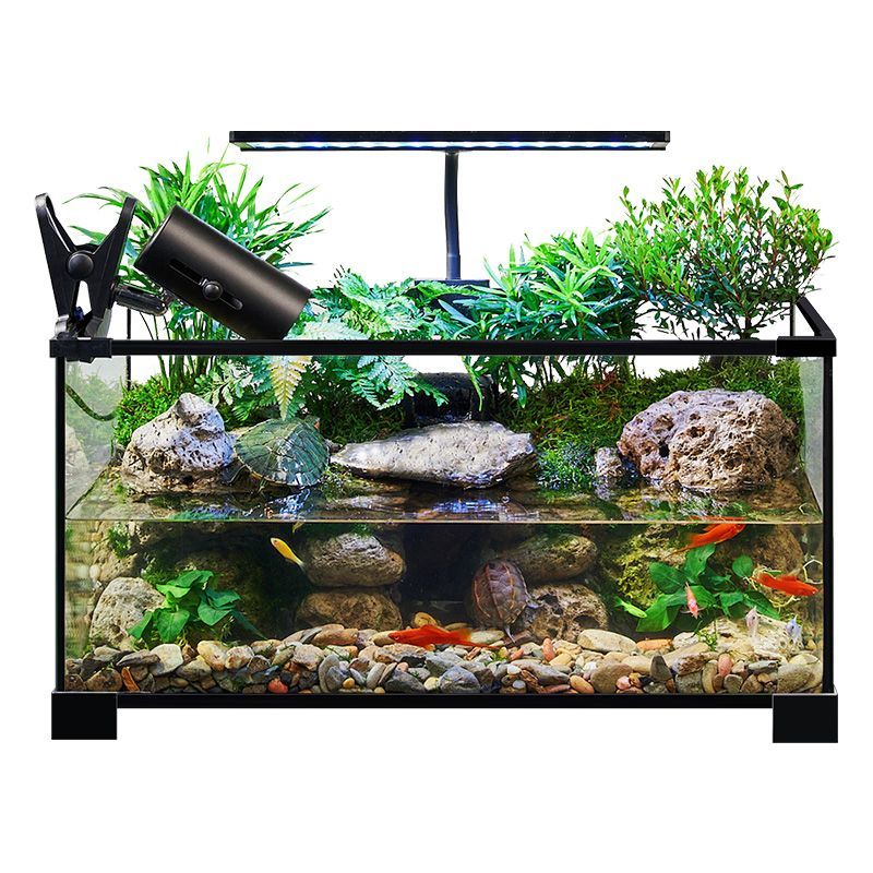 乌龟缸高清玻璃生态造景龟鱼缸一体混养生态缸客厅专用家用饲养缸 60雨林全套【缸+设备】
