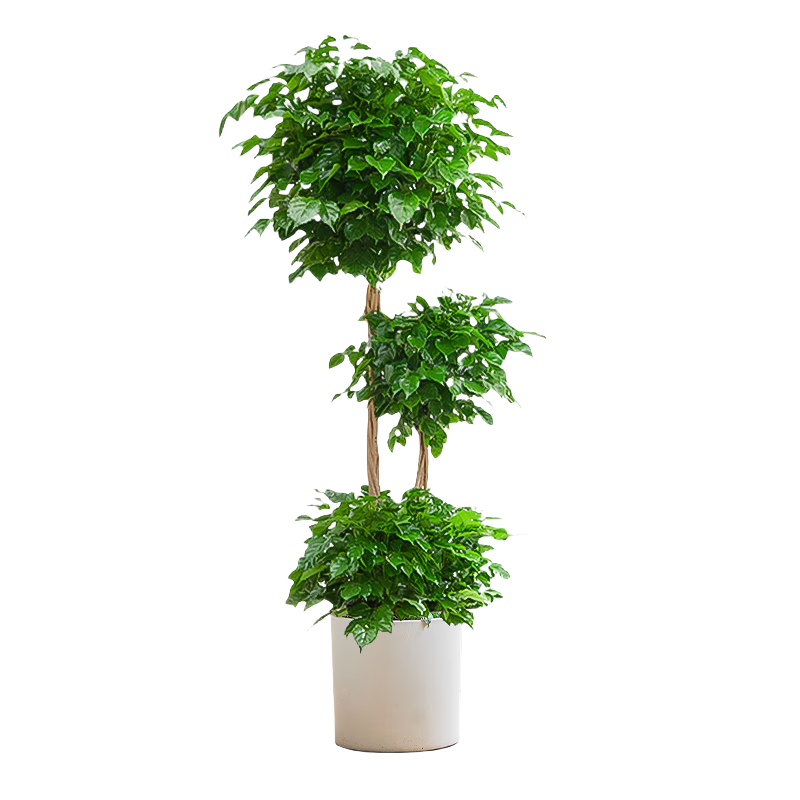 ���ڲ������������Ҹ������Կ������ڴ�����ֲ�칫����Ǩ�¼��̱���������Դͷֱ�� 88.8Ԫ