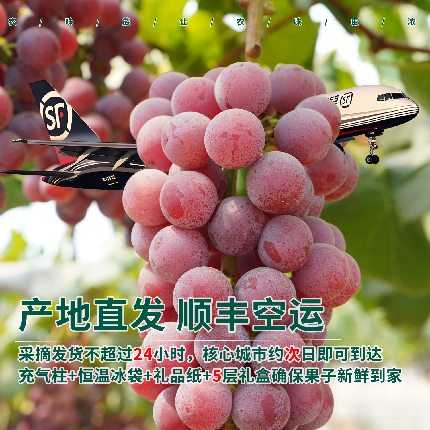 农味族云南妮娜皇后礼盒装邮政空运红提孕妇当季新鲜水果酒香纯甜整箱 4斤(单果15g+)礼盒装顺丰空运