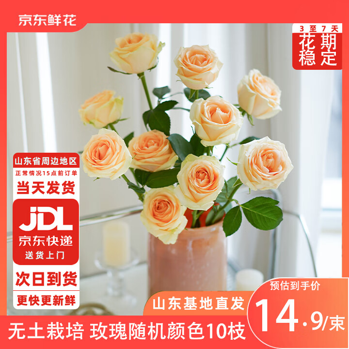 京东鲜花玫瑰花鲜花随机颜色品种10枝山东基地送女朋友情人节源头直发