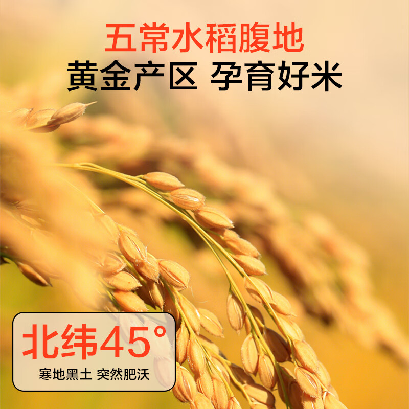 1号会员店【2025年新米】五常大米 2.5kg五常正宗 东北大米 团购送礼 新粮